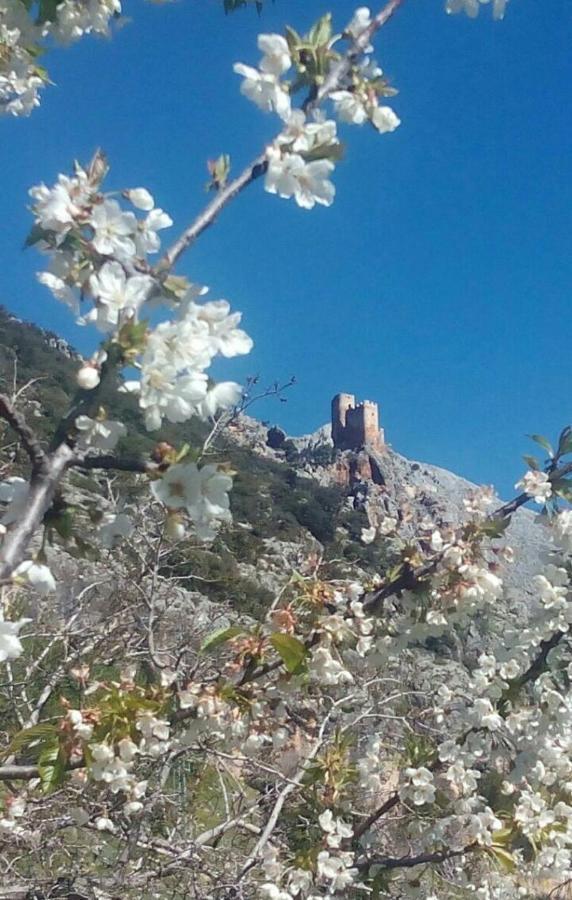 Casa La Oliva Villa Albanchez de Úbeda Dış mekan fotoğraf