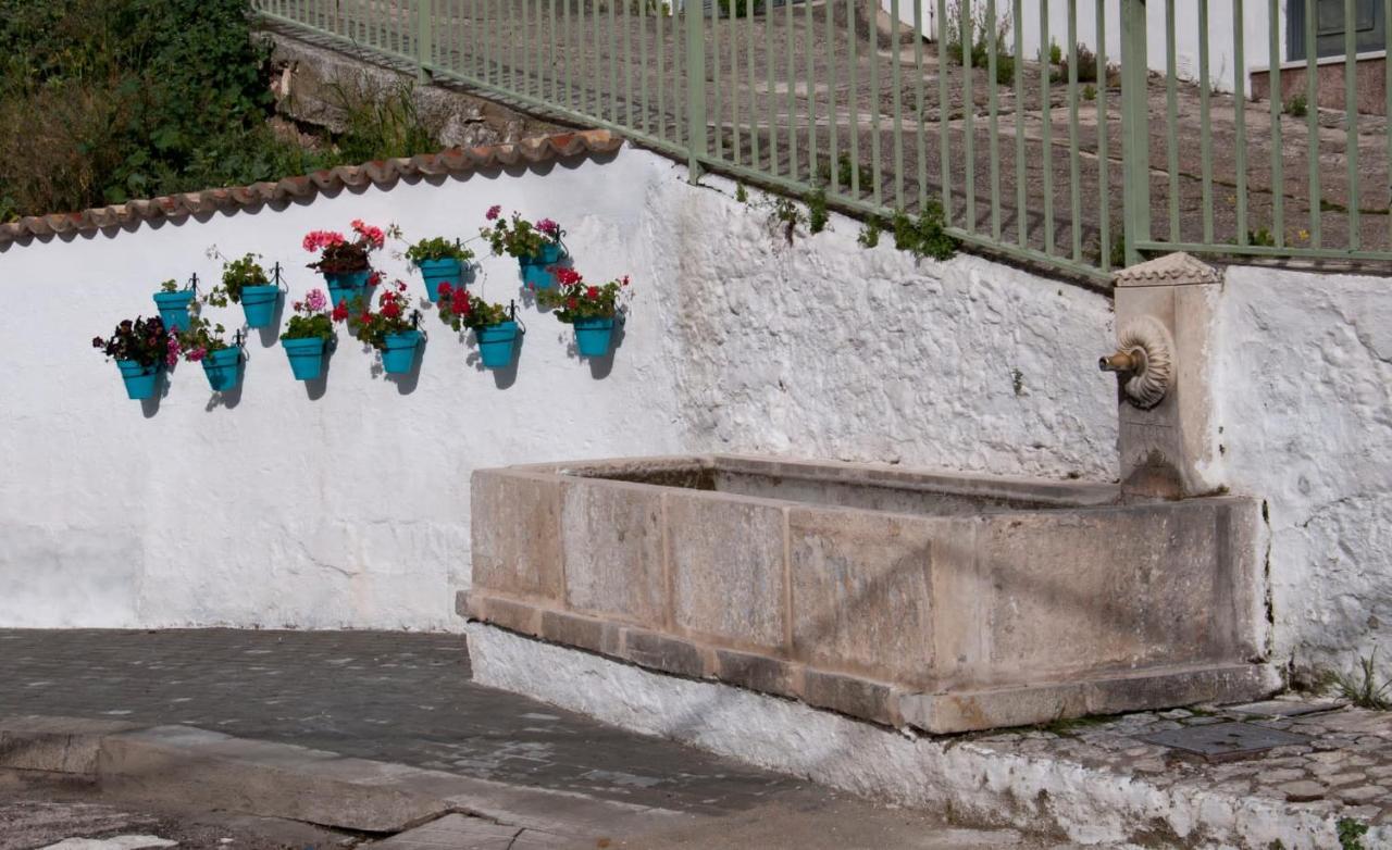 Casa La Oliva Villa Albanchez de Úbeda Dış mekan fotoğraf